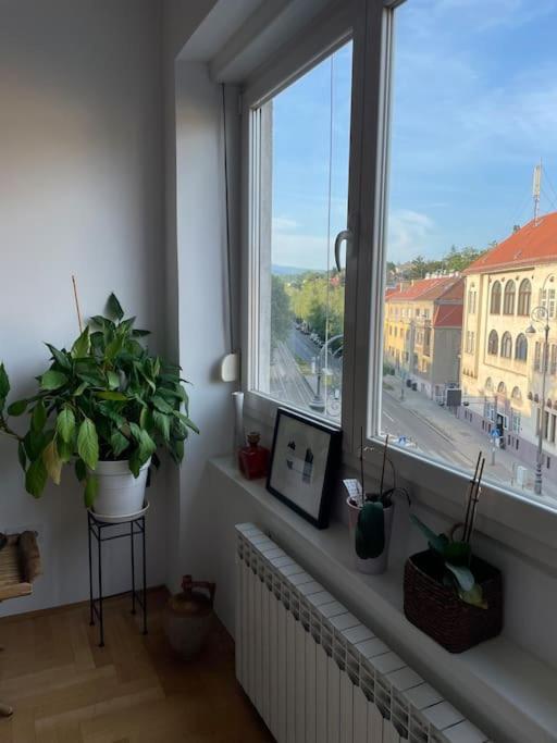 Spacious 3Br/2Bt Apartment With A/C In City Center 자그레브 외부 사진